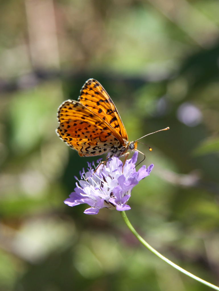 ...partenza....via!!!!!