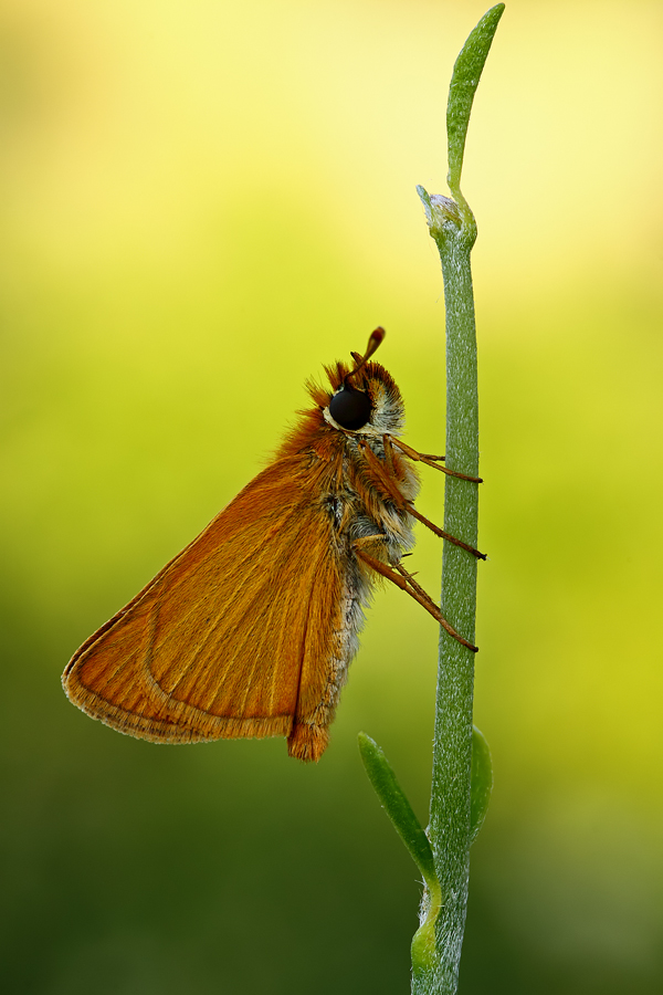 toward the light.........