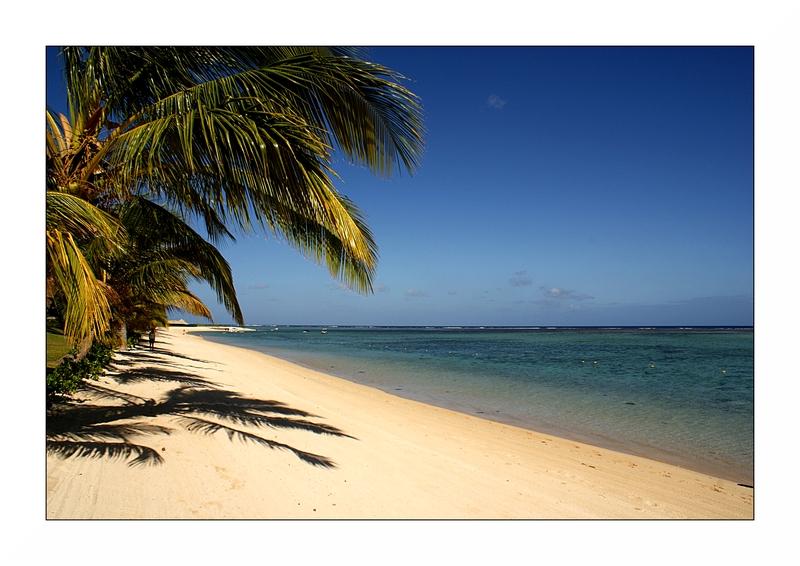 This is the place where i live