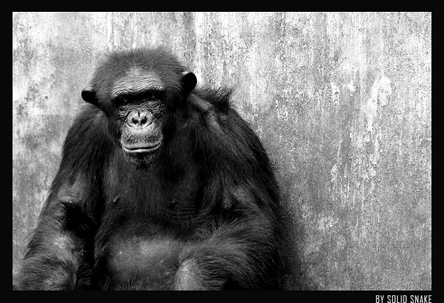 Lontano dalla vita...