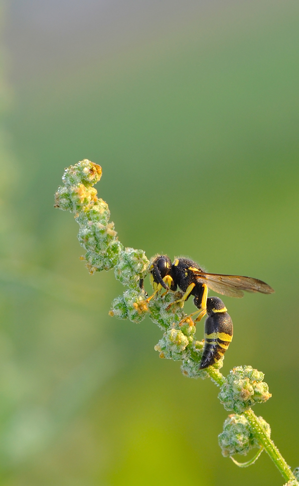 aspettando di scaldarsi...