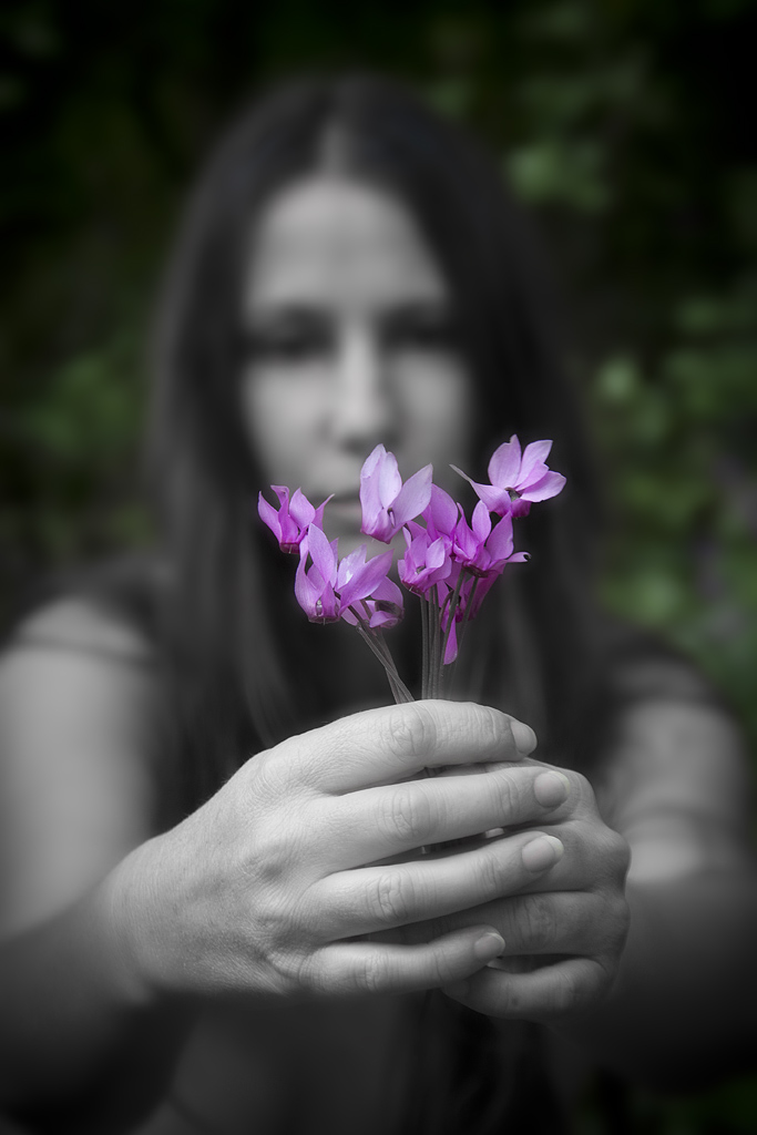 SIGNORA TRA I CICLAMINI II