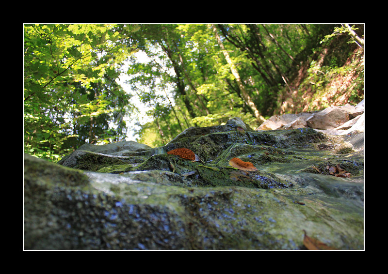 ruscello di montagfna