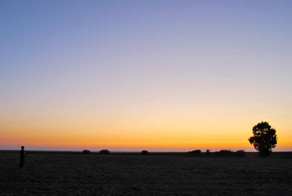 uno sguardo verso sud