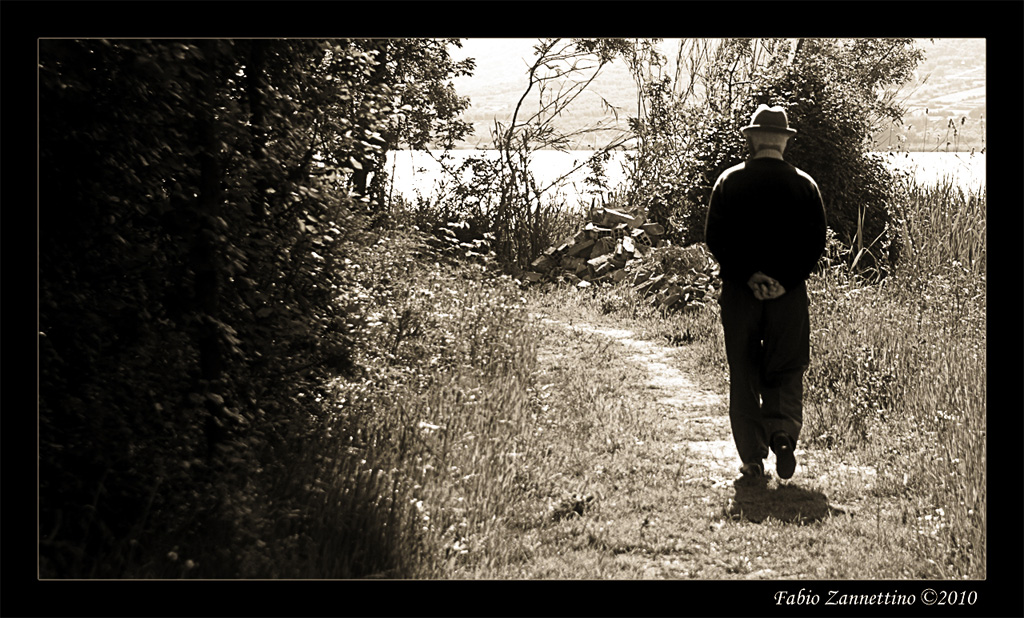 The Walk Of The Life