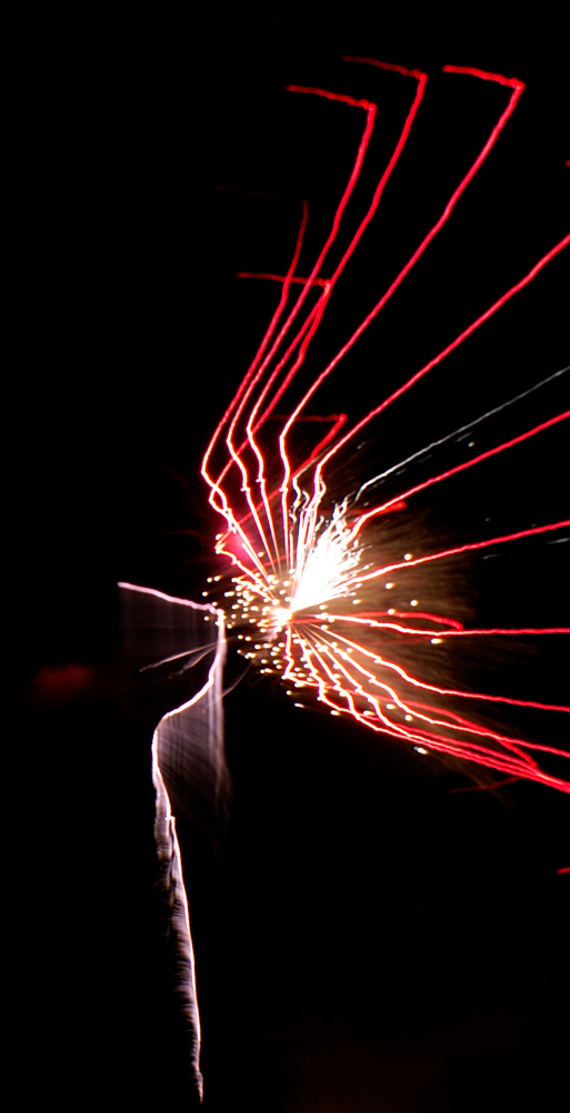 lo starnuto dello scoiattolo