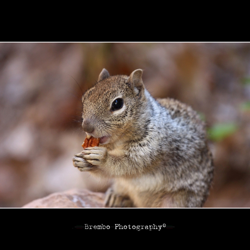 ...dieta equilibrata...