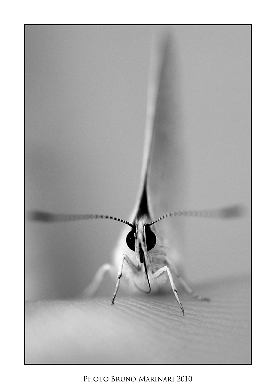 Guardami negli occhi