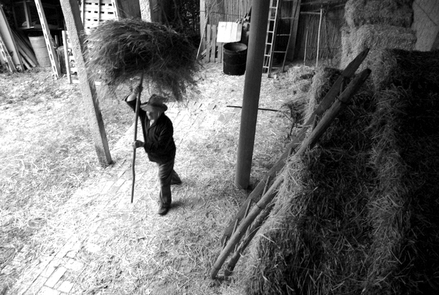 L'Uomo e La Sua Terra