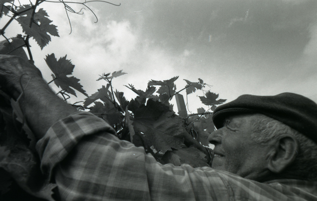 L'Uomo e La Sua Terra