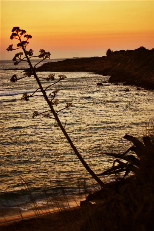 ...e poi c'� la quiete...