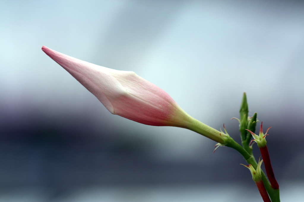 prossimo allo scoppio