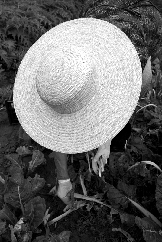 L'Uomo e La Sua Terra