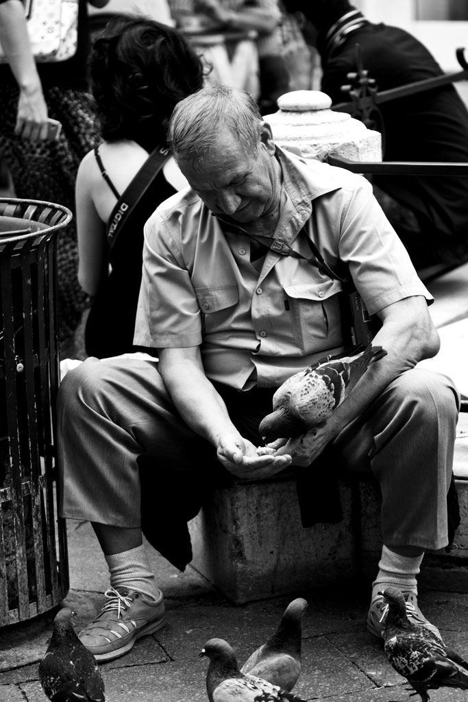 L'UOMO ed i PICCIONI