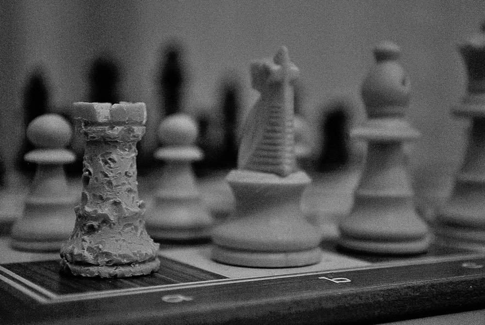 my dogs plays chess!