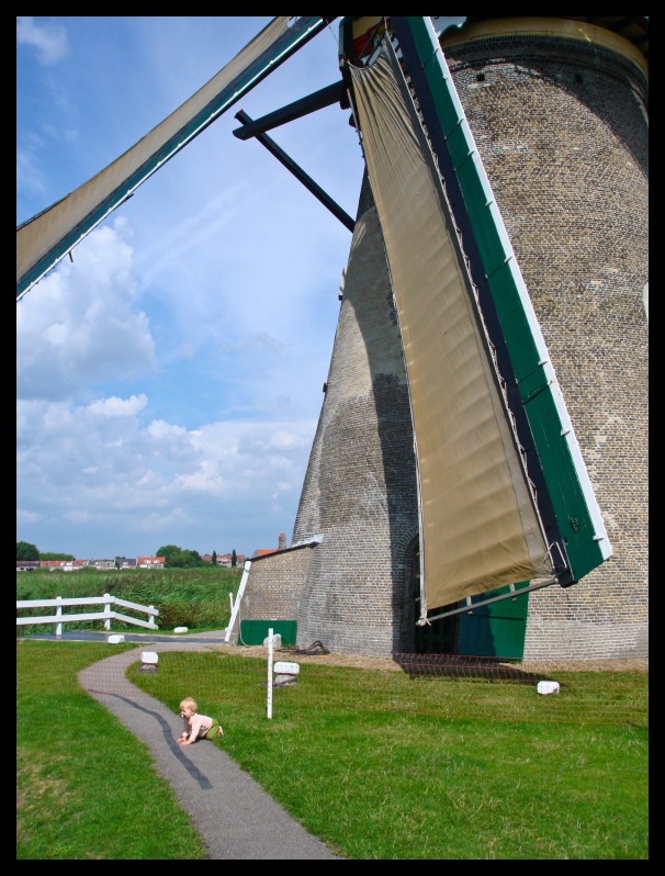 Don Quijote e i mulini a vento
