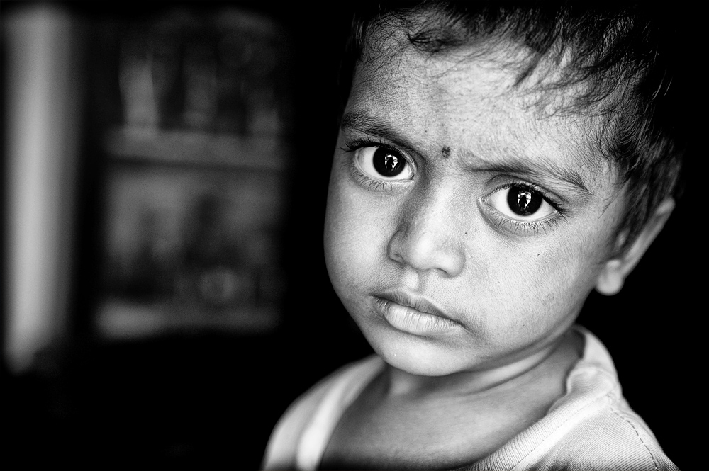 the Incredible India 1