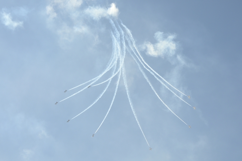 Pattuglia Acrobatica Nazionale - Frecce Tricolori - Rivolto 2010