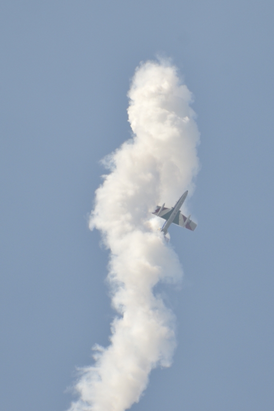 Pattuglia Acrobatica Nazionale - Frecce Tricolori - Rivolto 2010