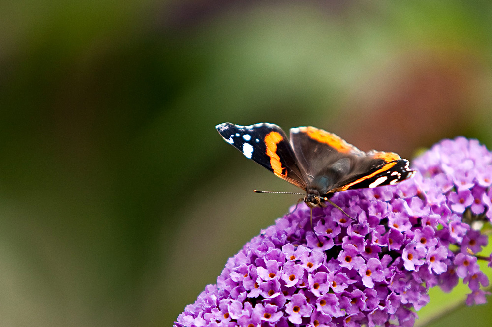 Another day at the office...