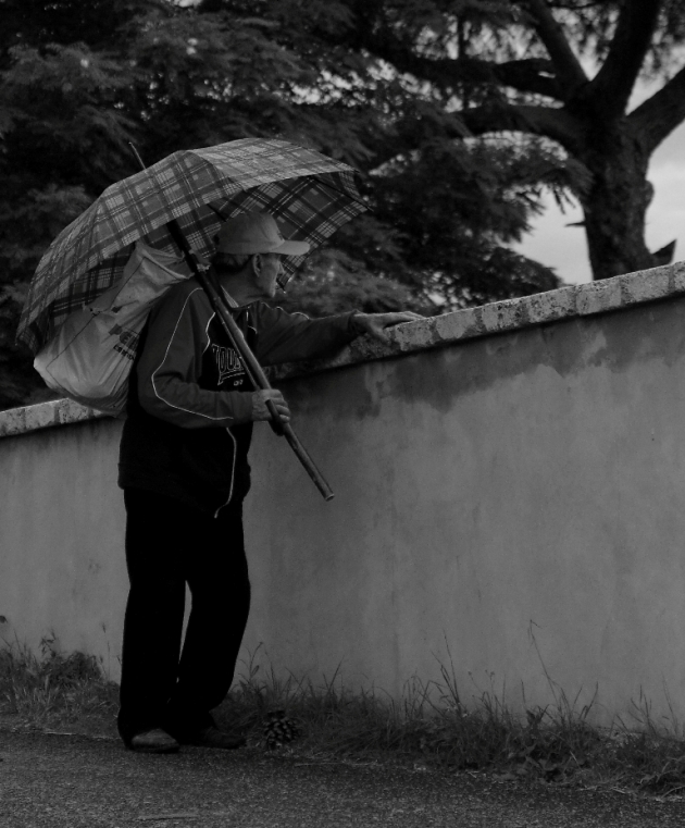 Ricordi che vanno e vengono