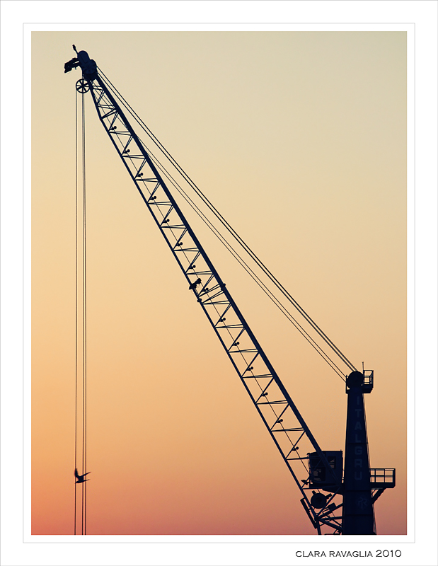 La pesca...miracolosa