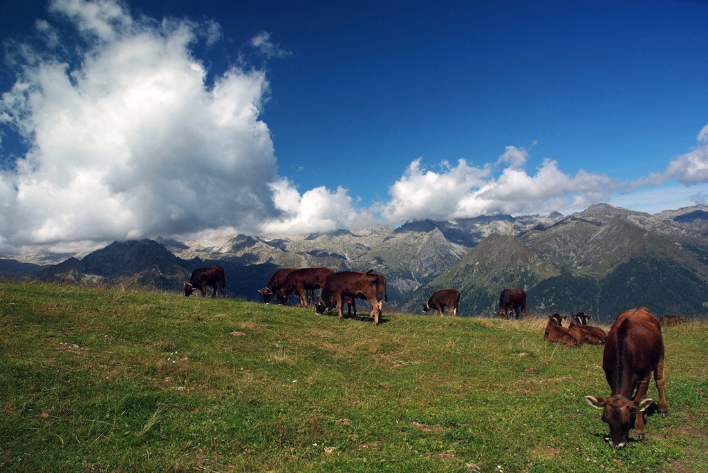 S5 Pro - AFS 18-70mm - pola circolare