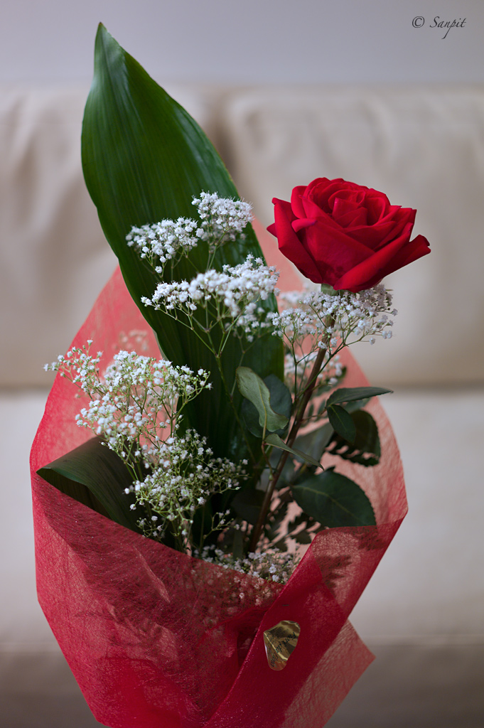 Un regalo per il mio compleanno