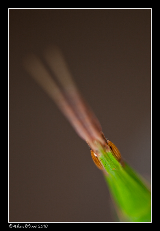 ...Un affaccio sul mondo...