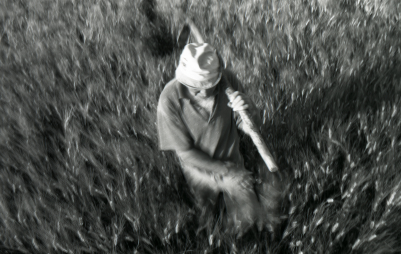 L'Uomo e La Sua Terra