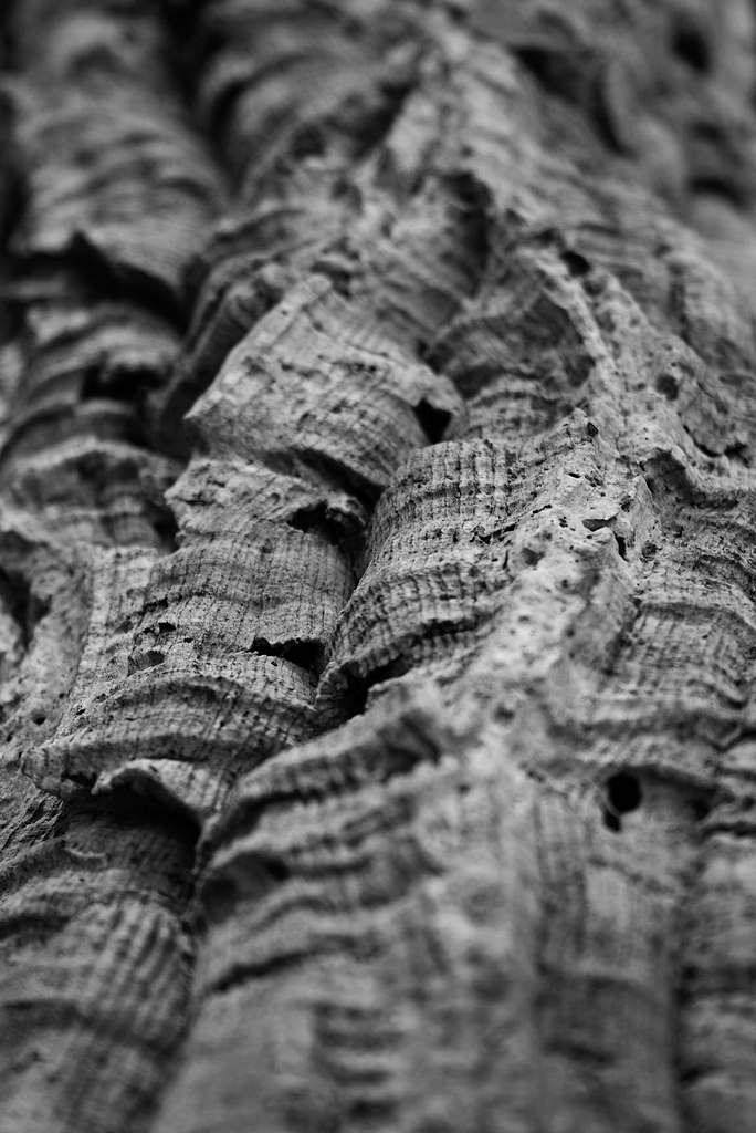 Canyon.... nel legno