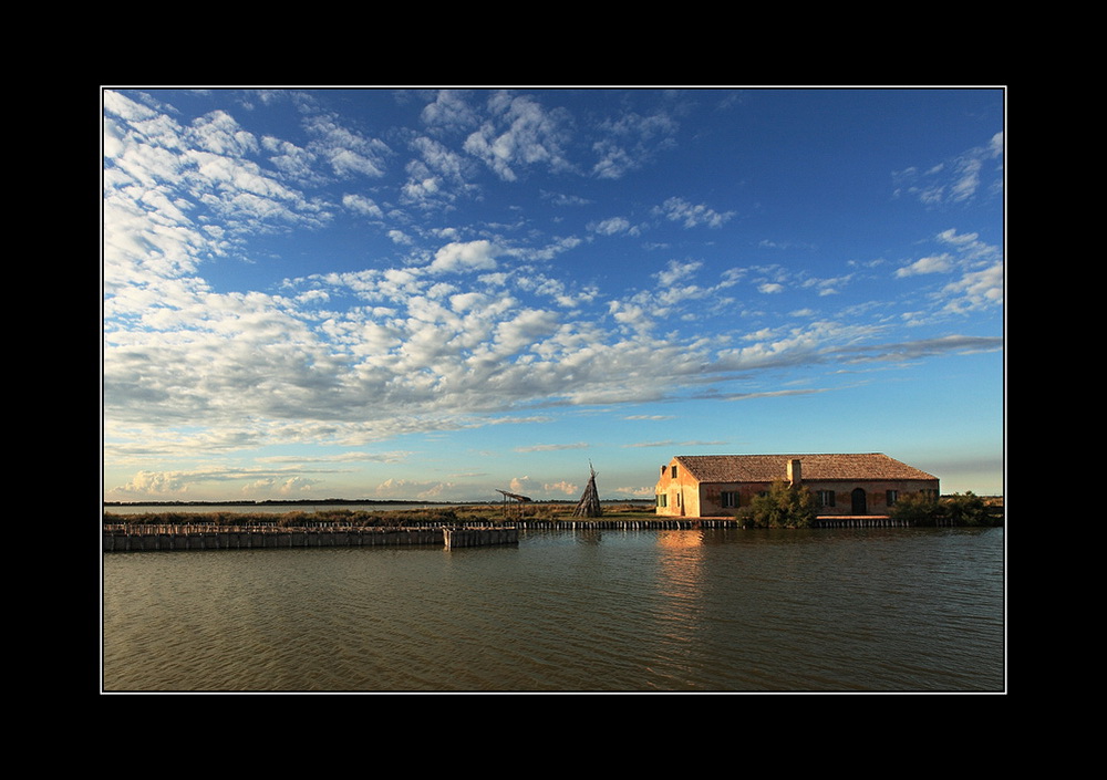 Nelle Valli di Comacchio