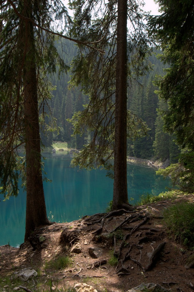 Scorcio di Carezza..