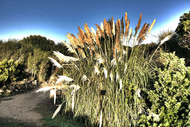 Golf Puntaldia partenza buca 2