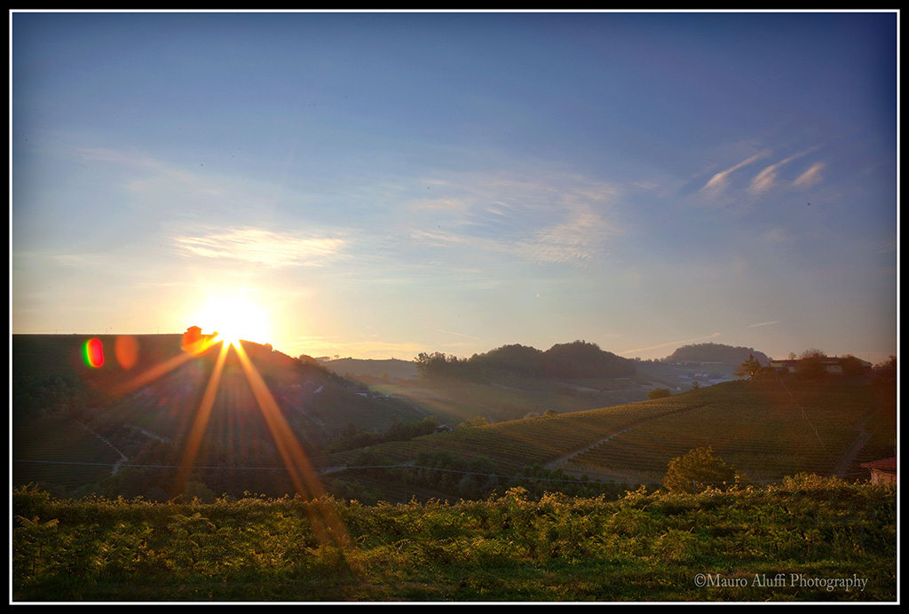 Barolo, terra di vino.
