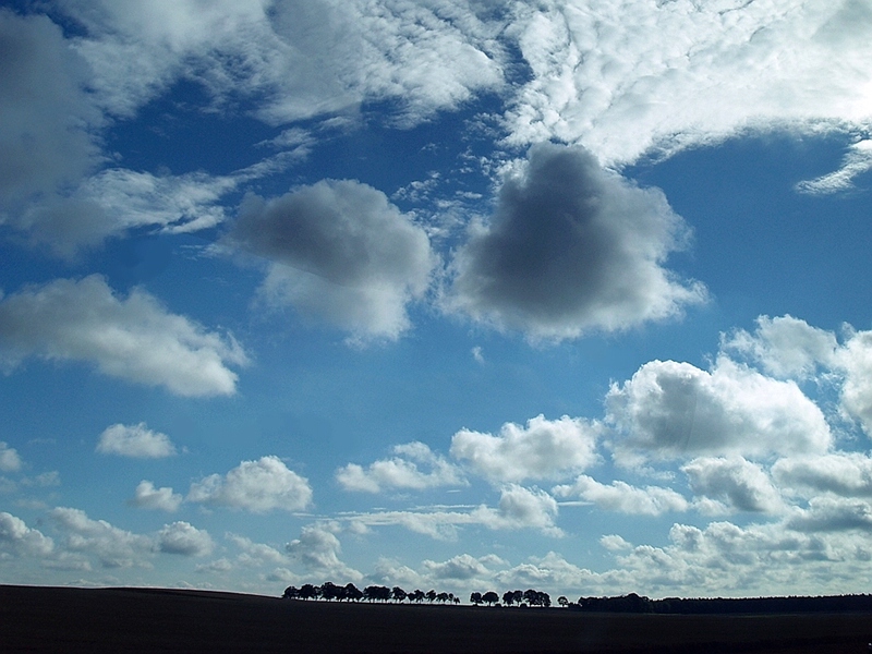 il cielo � sempre pi� blu...