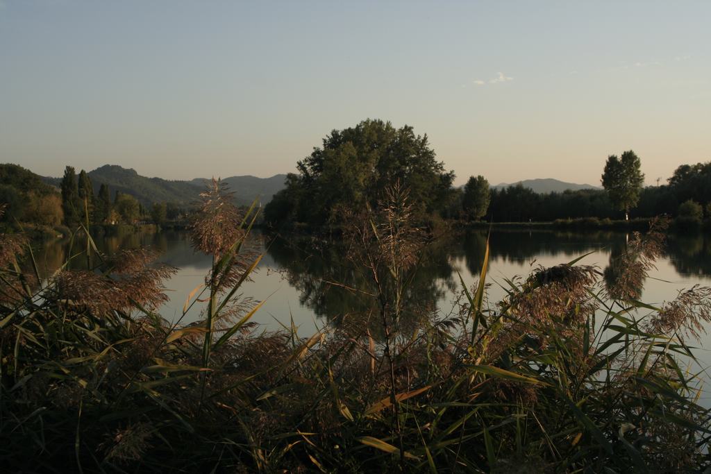 Laghetto di Borgo Nuovo (BO)