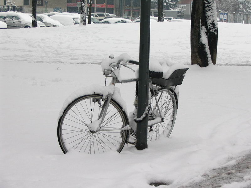 Bici nella neve