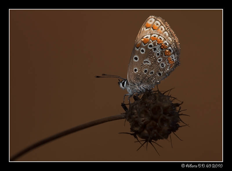 ...i primi raggi di sole...