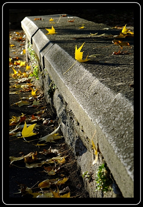 Primi assaggi di Autunno