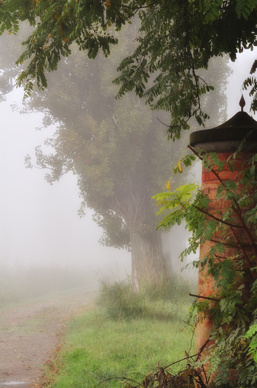 quasi Scozia ..terramia