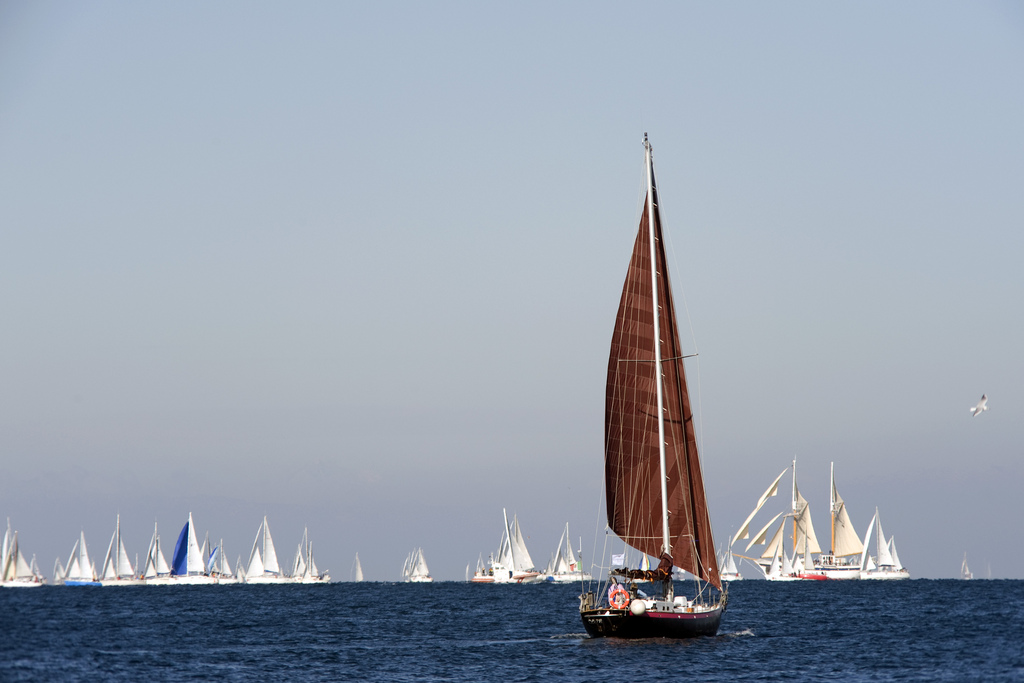 Barcolana - Trieste 10/10/10