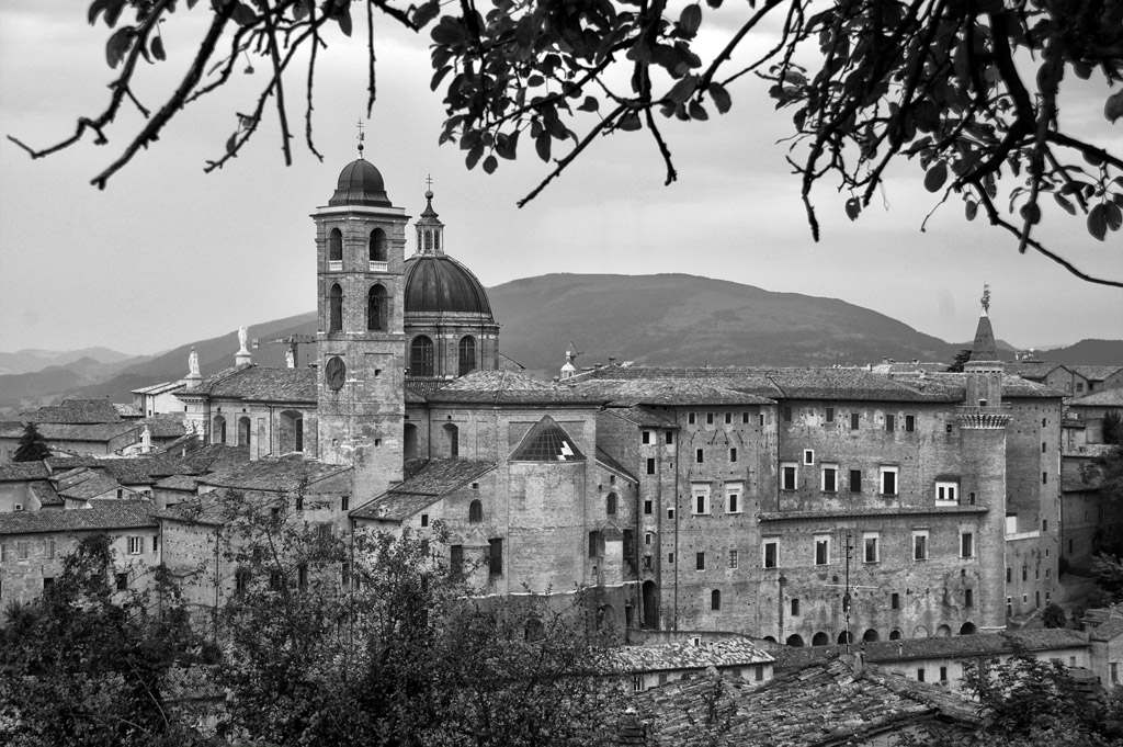 Urbino