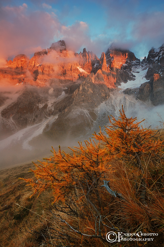 I Colori della Natura