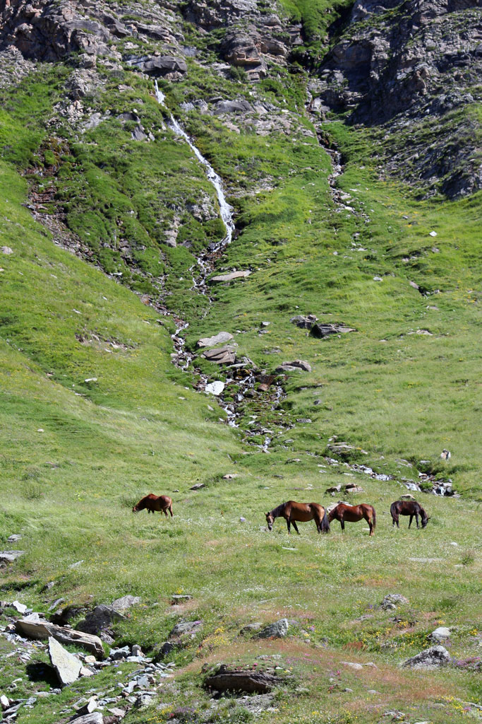 Tranquillit� montana