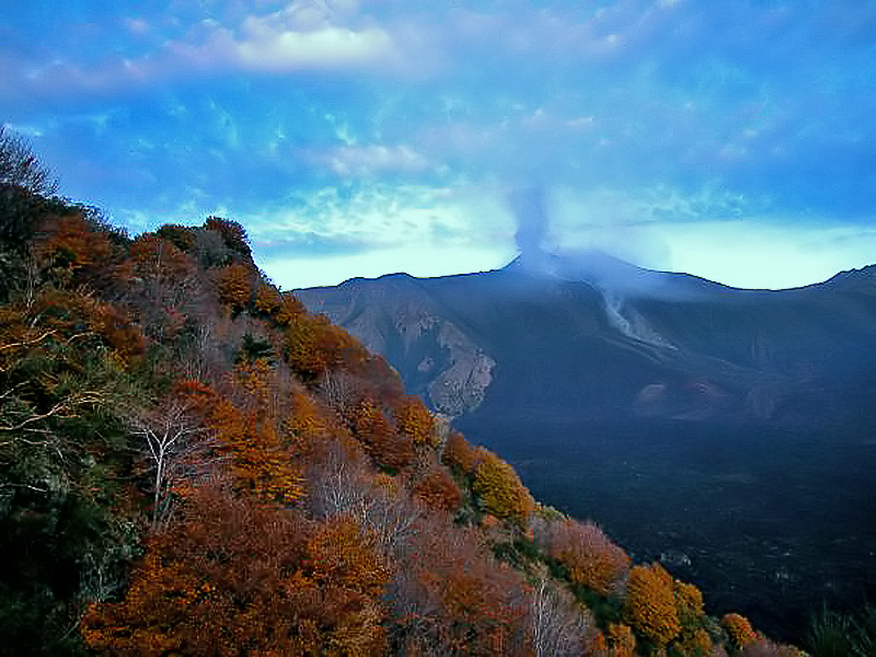 Paesaggio particolare