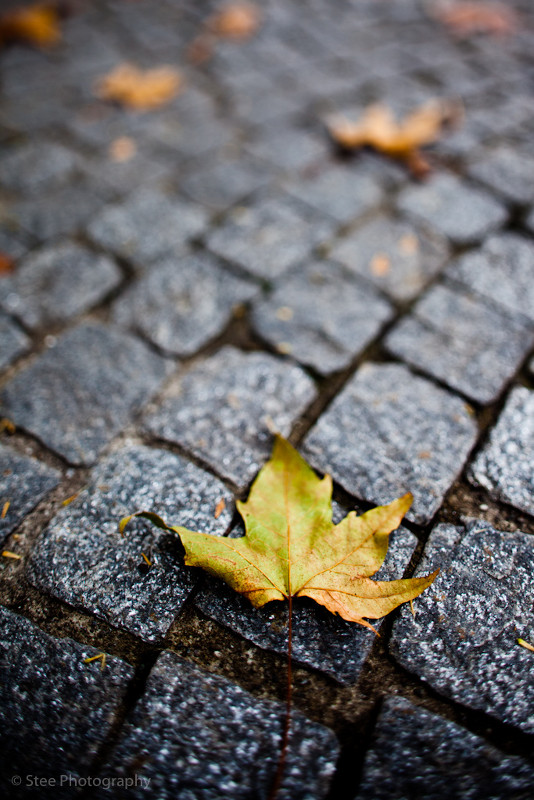 La fine di un ciclo ...