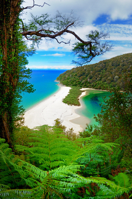 Scorcio neozelandese