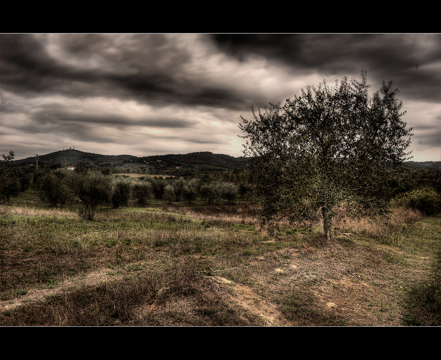 Interpretazione di un pomeriggio autunnale