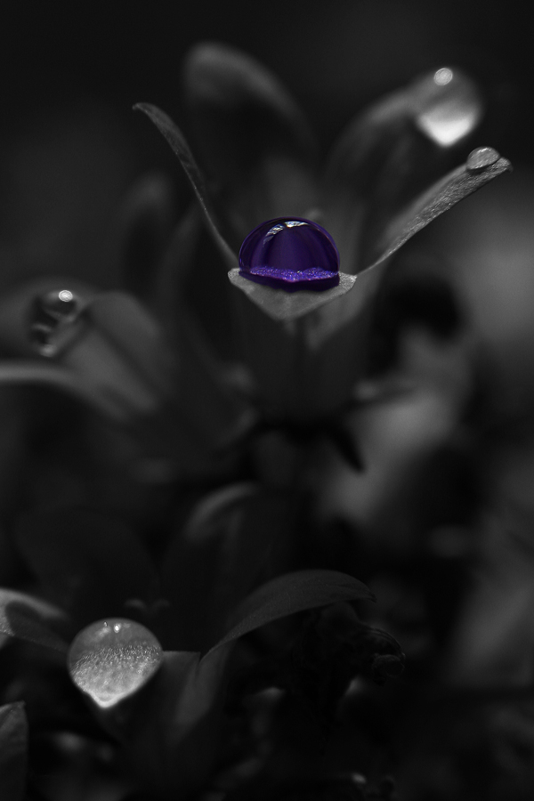 Goccia di colore ....